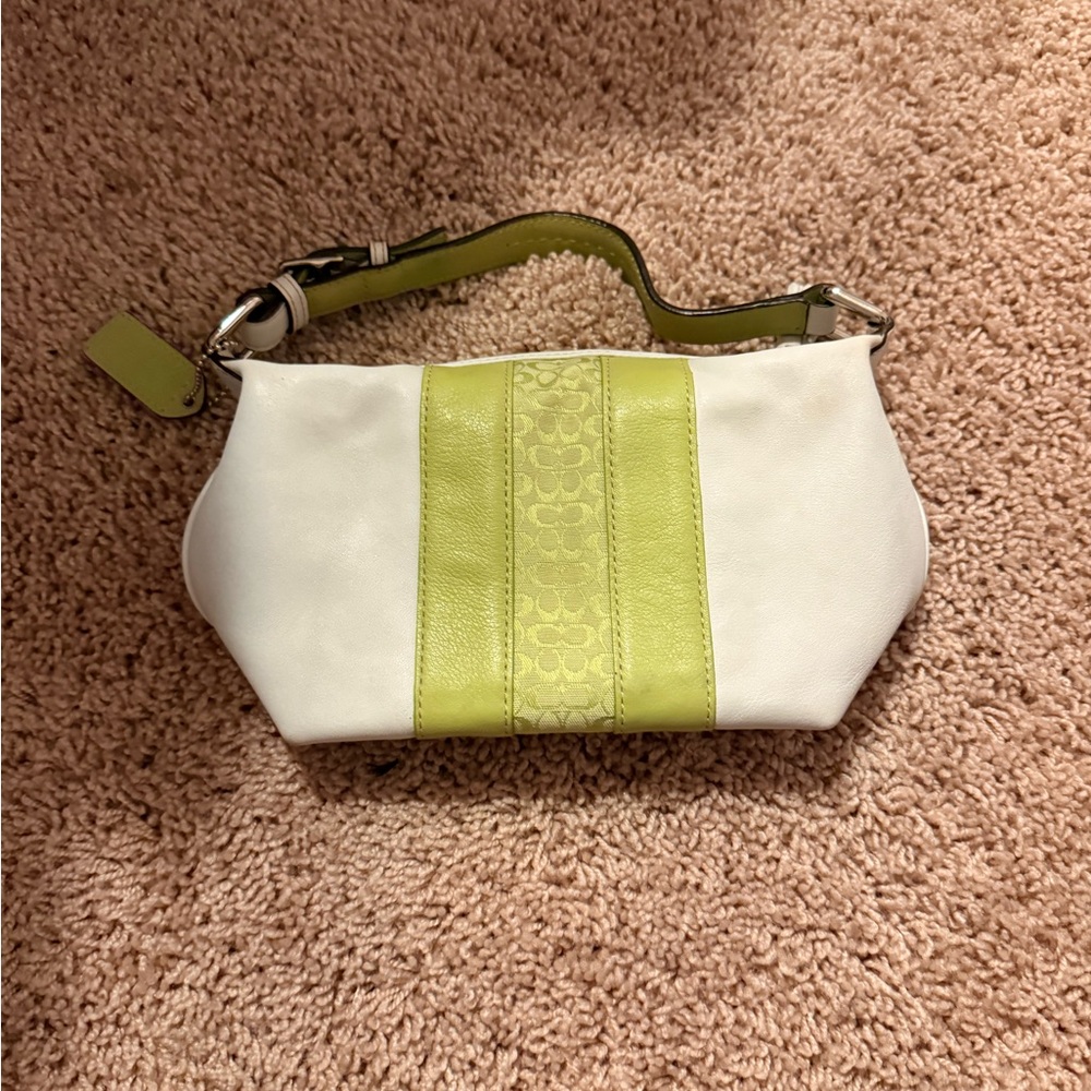 White and Green Handbag